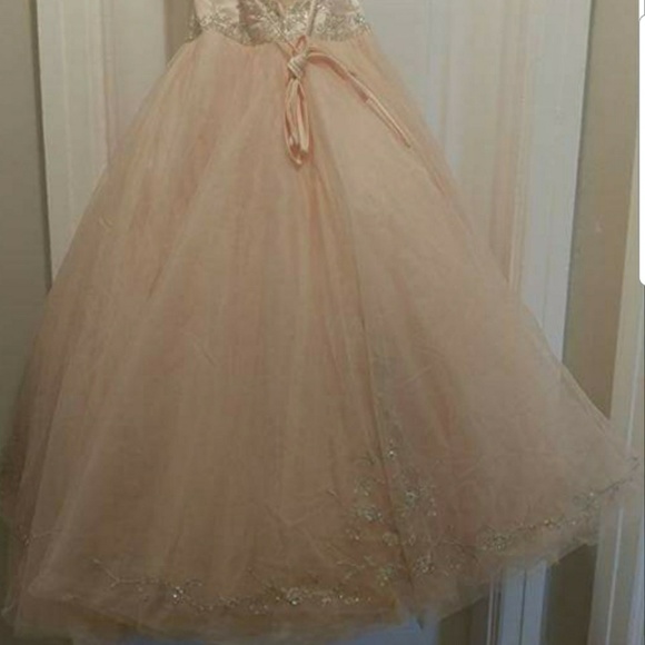Stunning Peach Gown! - Picture 3 of 3